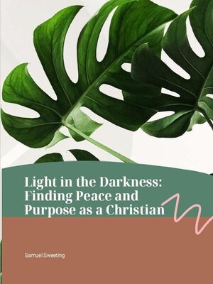 cover image of Light in the Darkness